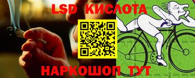 эйфоретик Кингисепп