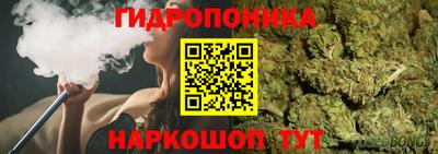 эйфоретик Кингисепп