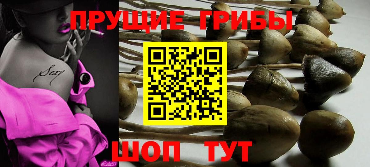Псилоцибиновые грибы Magic Shrooms  как найти наркотики  Вход с VPN  Кострома  Галлюциногенные грибы Cubensis 